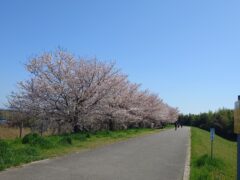 11年ありがとう